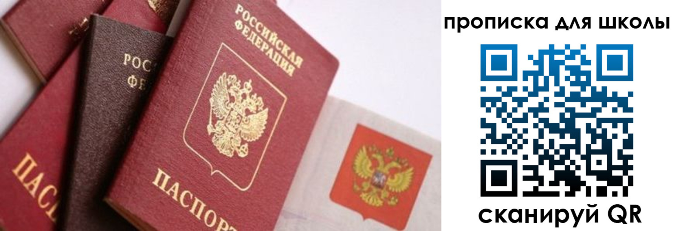 прописка поиск в Пионерском